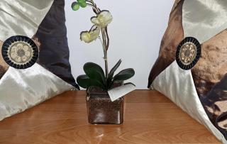 Apartman Bella - Sarajevo - 3
