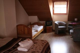 Landgasthof Hotel Rebe Alzey - Alzey - 3