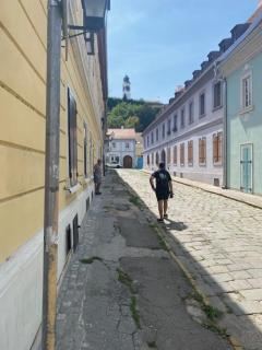 Zlatica Petrovaradin - 9