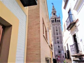 ¡EN FRENTE DE LA GIRALDA-CATEDRAL! - 0