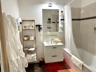 Perle rare « Le Cosy de CDG » - Le Blanc-Mesnil - 1