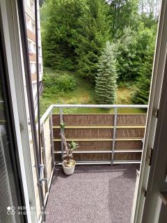 Tiny Flat Baiersbronn - Baiersbronn - 0