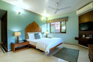 The Almond Tree - Jodhpur - 9