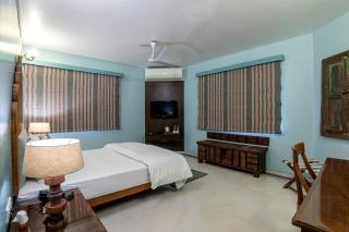 The Almond Tree - Jodhpur - 3
