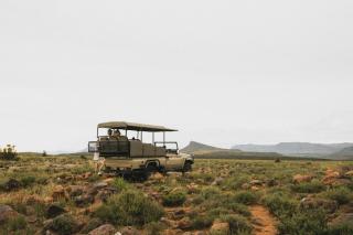 Buccara Wildlife Reserve - Graaff-Reinet - 9
