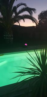 Mon petit coin de paradis - 1