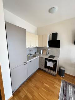 Cozy apartment - Prague - 0