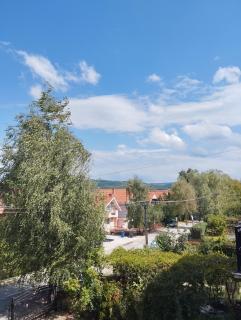 Apartman Sokobanja Borići - Soko Banja - 2