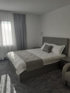 Motel Moara Veche - Săcălăşeni - 9