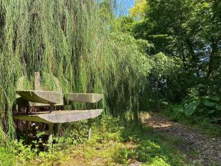 Holiday home in Leende for ten Person - Leende - 5