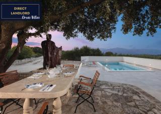 Villa Dubrava Tranquil Retreat Nestled in an Olive Grove for Serene Escapes - Pučišća - 0