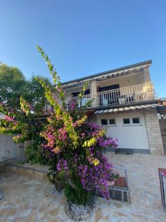 Apartmani Kober - 1