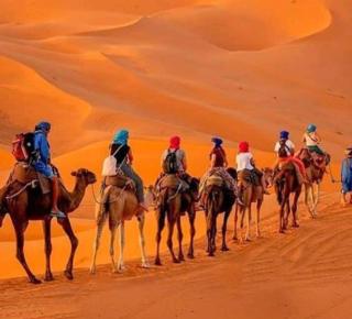 Desert Berber Camp - Merzouga - 9