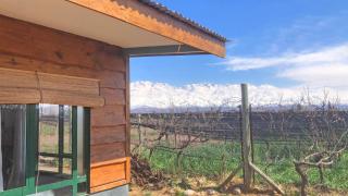 El Atelier - Valle de Uco - La Consulta - 3