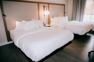 Fairfield Inn & Suites by Marriott Lexington Georgetown/College Inn - Georgetown - 3