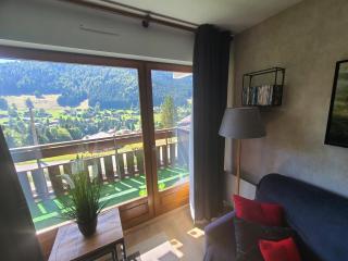 Studio 3 étoiles Les Helianthes - La Clusaz - 5