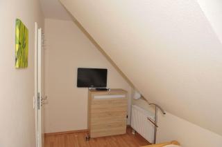 Strandmuschel - 2
