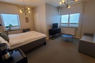 Hangon Asema 3 - Vastaremontoitu yksiö kylpyhuoneella - Hanko - 3