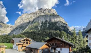 Chalet Ribi - Grindelwald - 3