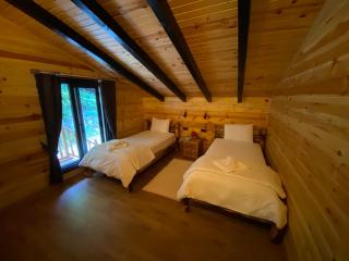 Nafkar Loft - Çamlıhemşin - 3