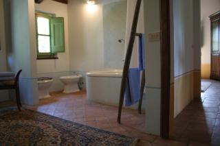 L'Ariete - Montone - 7