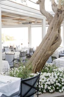 Hotel Canasta - 2