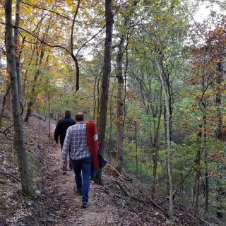 Loblolly Pines Adventure Log Cabin - Eureka Springs - 4