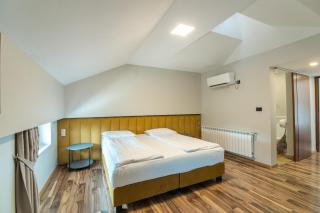 HOTEL VITAL - Baile Felix - 5
