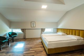 HOTEL VITAL - Baile Felix - 3