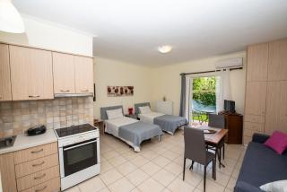Olivine apartments - Città di Lefkada - 4