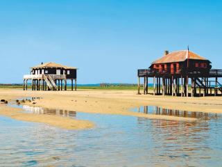 Arcachon Centre : Charmant T2 avec Loggia, Parking Sécurisé et Proche Plage - FR-1-420-61 - Arcachon - 4