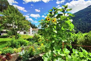 Gästehaus Scherl - 3