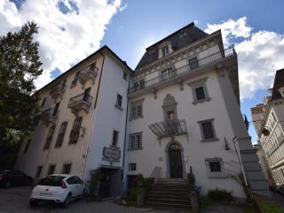 Appartement charmant avec balcon, wifi et animaux admis à Évian-les-Bains - FR-1-498-14 - Évian-les-Bains - 3