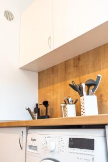 Thome Bucegi Studio - Cluj-Napoca - 8