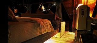 Starlit Dome Mcleod Ganj - 2