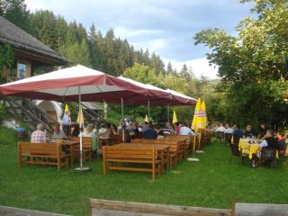 Alpenhotel Ratsberg 1650m - Toblach - 4