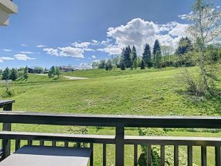 Studio cosy au pied des pistes, vue Mont Blanc - FR-1-560-55 - 3