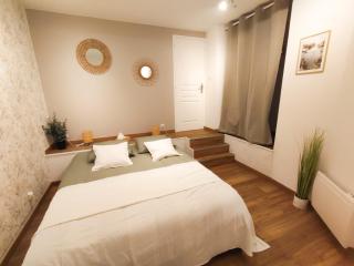 Sublime appartement hyper centre Hirson - Hirson - 8