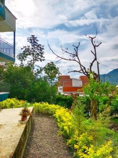 Bird House - Apartament - Jardín - 7