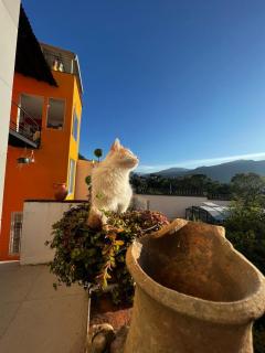 B&B - Trekking y Senderismo - 0