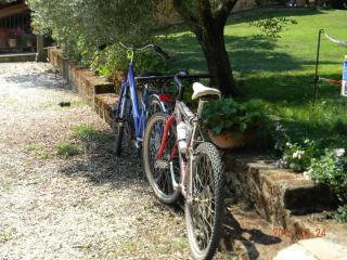 Casa Vacanza Malescale - 7