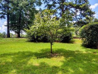 #08 - One Bedroom Lakeview Cottage-Pet Friendly - 3