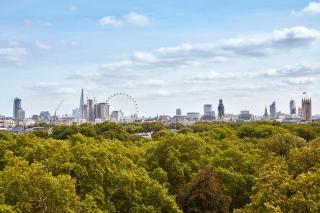 Sheraton Grand London Park Lane - London - 7