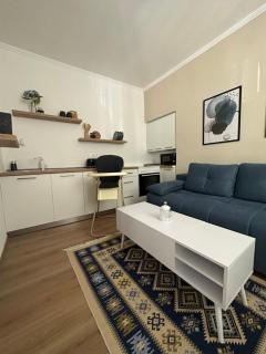 BLUE APARTMENT MOSTAR - Mostar - 4