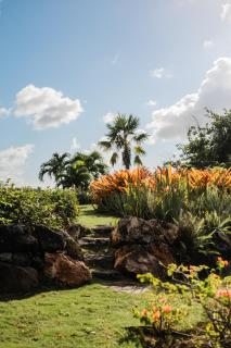 Beautiful 3 story 8,000 sq ft Oceanside Mansion - Nevis - 3