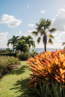 Beautiful 3 story 8,000 sq ft Oceanside Mansion - Nevis - 4