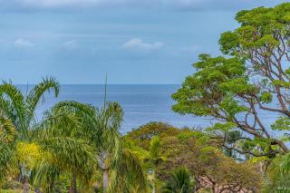 Palms at Wailea 1306 - Wailea - 2