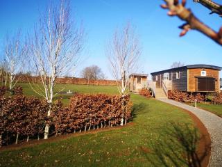 Quaint Mobile Home with Sauna in Vielsalm - Vielsalm - 1