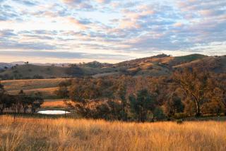 Sunstone - 2 Bed Eco Cabin - Kundalini Lodge - 5
