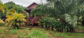 Tree Trails Homestay & Offers Jungle Trekk-Scooter For Rental - Banlung - 7